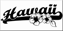 Auto Aufkleber Beach- und Hawaii Designs 1C 44