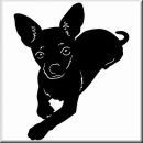 Aufkleber Hund Chihuahua 6