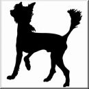 Aufkleber Hund Chinese Crested 3