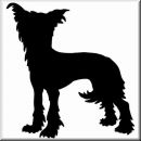 Aufkleber Hund Chinese Crested 5