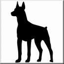 Aufkleber Hund Miniatur Pinscher 4