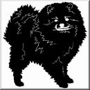 Aufkleber Hund Pomeranian