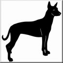 Aufkleber Hund Xolo 3