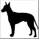 Aufkleber Hund Manchester Terrier 2