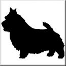 Aufkleber Hund Norwich Terrier 2