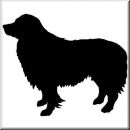 Aufkleber Hund Border Collie 2b