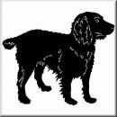 Aufkleber Hund Boykin Spaniel