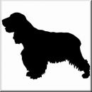 Aufkleber Hund English Cocker Spaniel