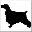 Aufkleber Hund English Cocker Spaniel 3