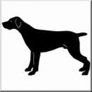 Aufkleber Hund German Shorthaired Pointer 2