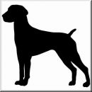 Aufkleber Hund German Shorthaired Pointer 4