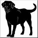 Aufkleber Hund Labrador Retriever 2