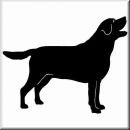 Aufkleber Hund Labrador Retriever 4