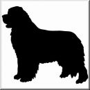 Aufkleber Hund Newfoundland 2