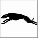 Aufkleber Hund Greyhound 6