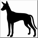 Aufkleber Hund Ibizan Hound 2