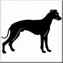 Aufkleber Hund Whippet 2