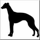 Aufkleber Hund Whippet 3