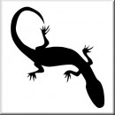 Folienaufkleber Tiermotiv Salamander 04