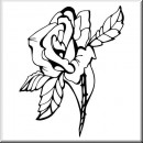 Folienaufkleber Pflanzenmotiv Rose 05